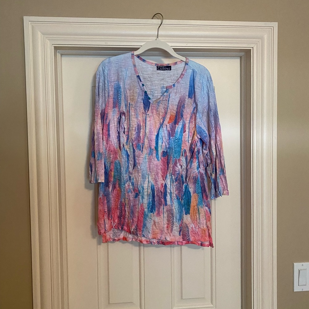 Newport by Carine multi color top